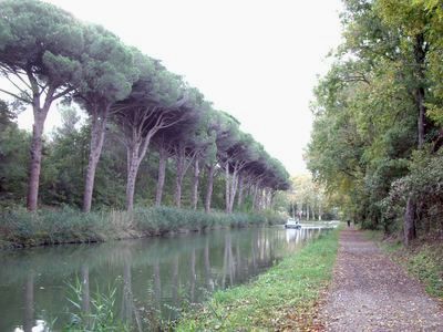 25_Fresquel